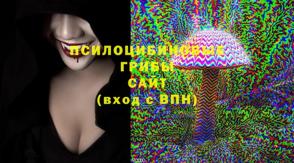 сатива Алзамай
