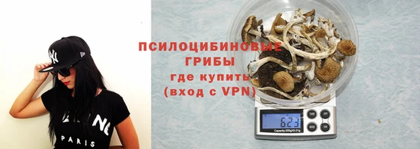 сатива Алзамай