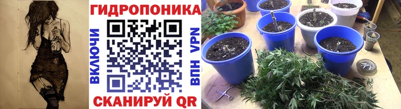 наркота  Сухой Лог  Канабис OG Kush 